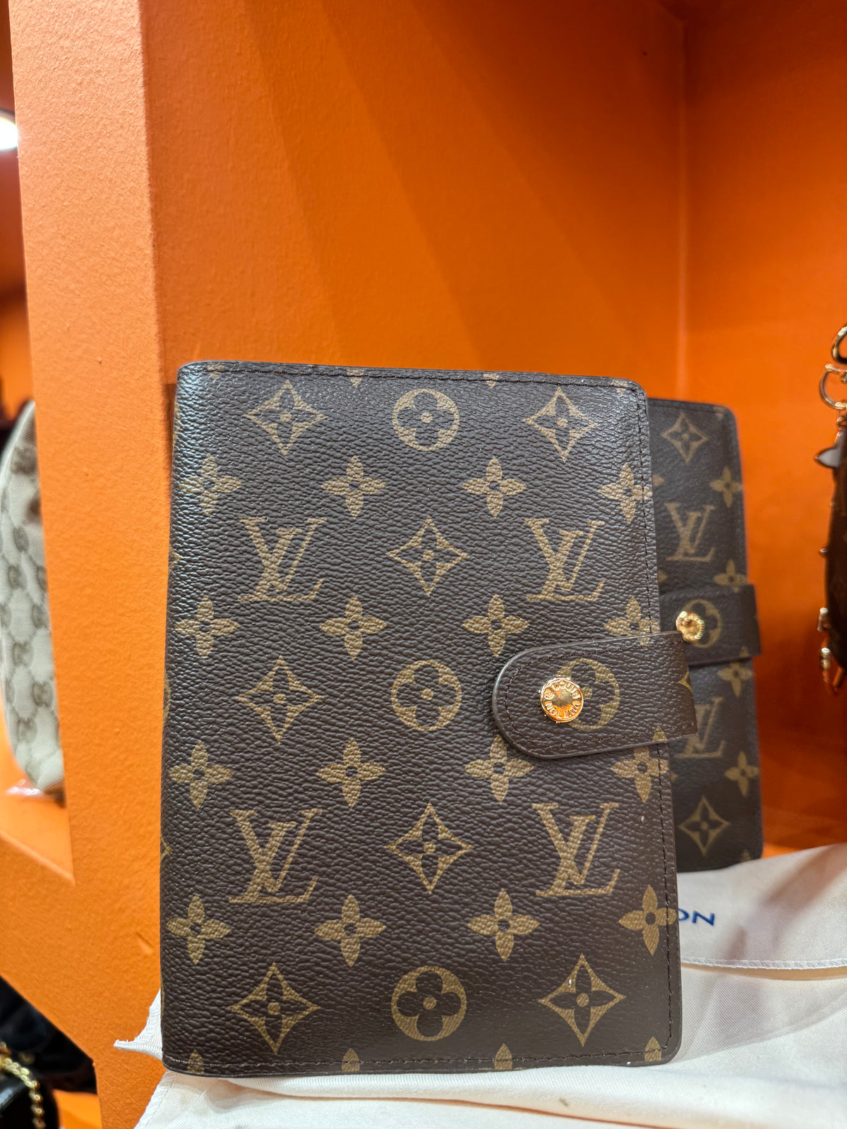✨LOUIS VUITTON ✨